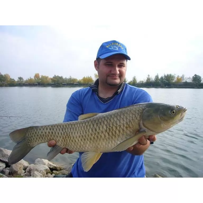 Misel Zadravec Carp Baits