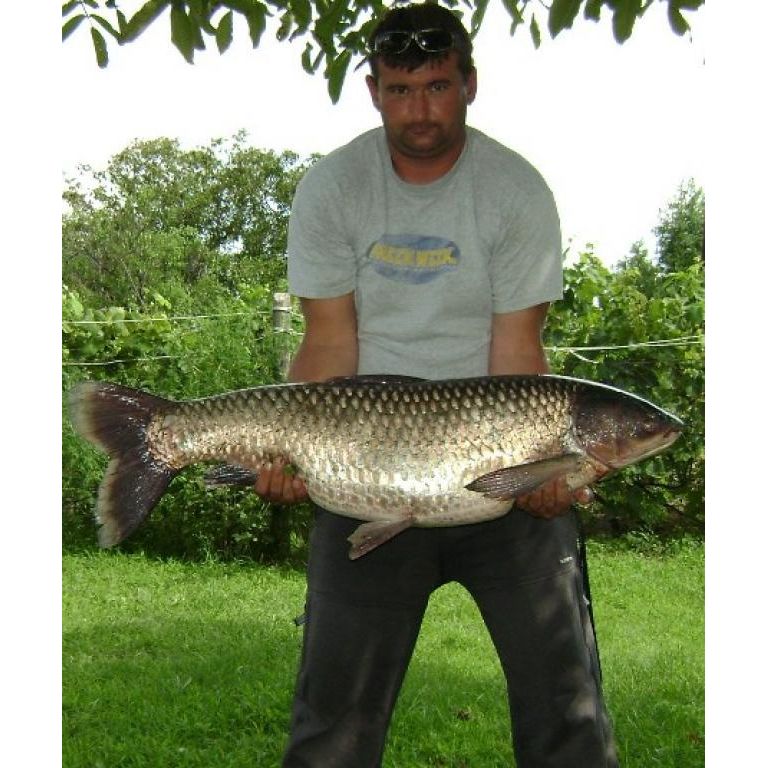 18.35 torpedó