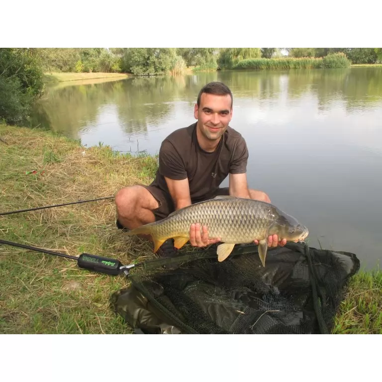 Ponty 8,6 kg