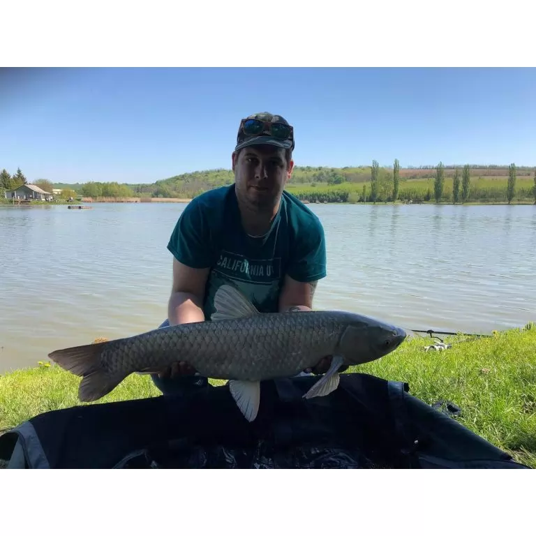 Harcos torpedó