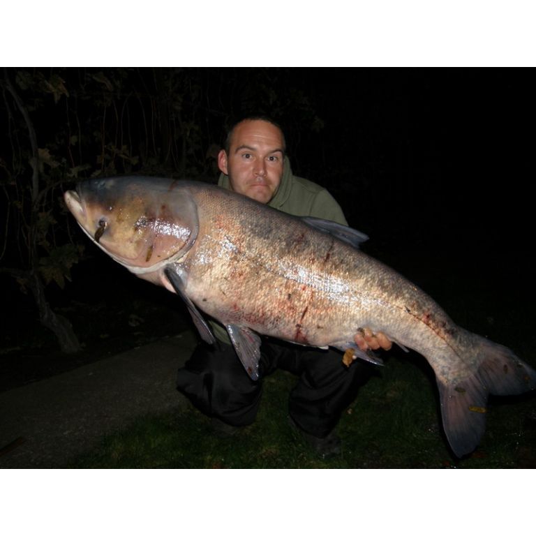 Busa 21.60 kg