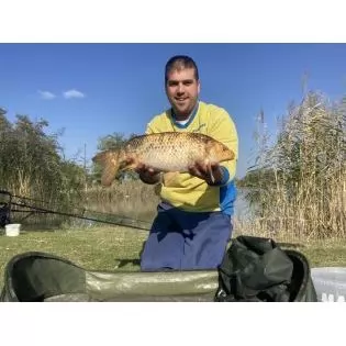 Koi ponty