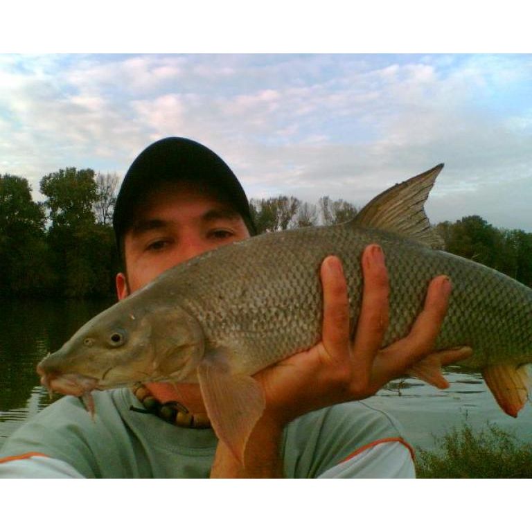 A Tisza, a márna és én