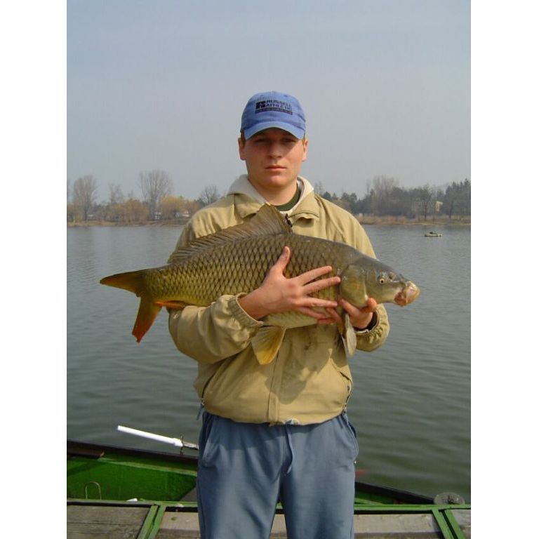 8,5 kg tőponty