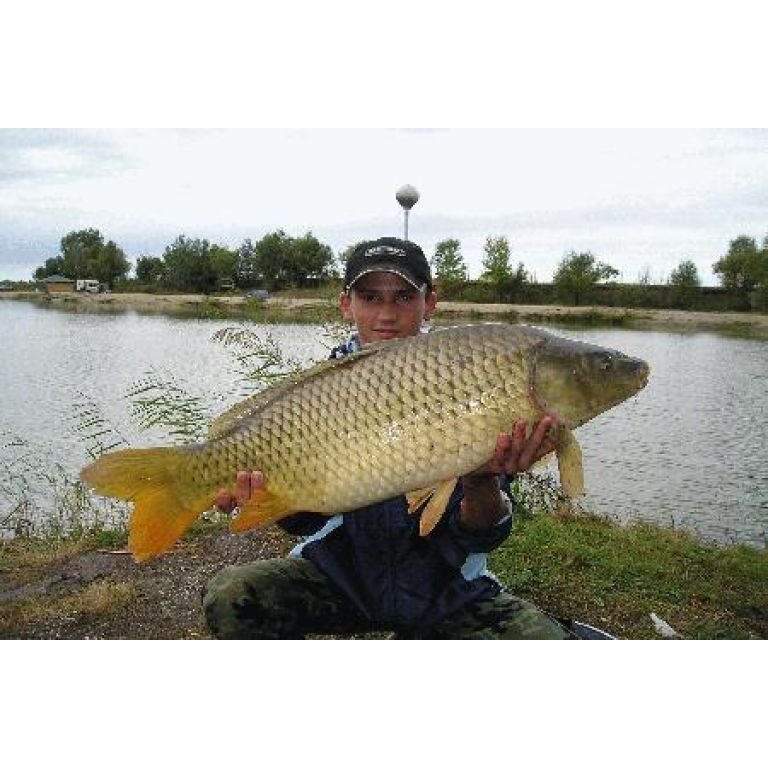 12 kg-os torpedó