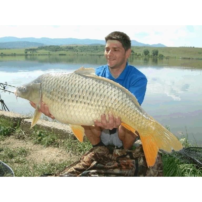 Hibátlan gyönyörű maconkai tőponty