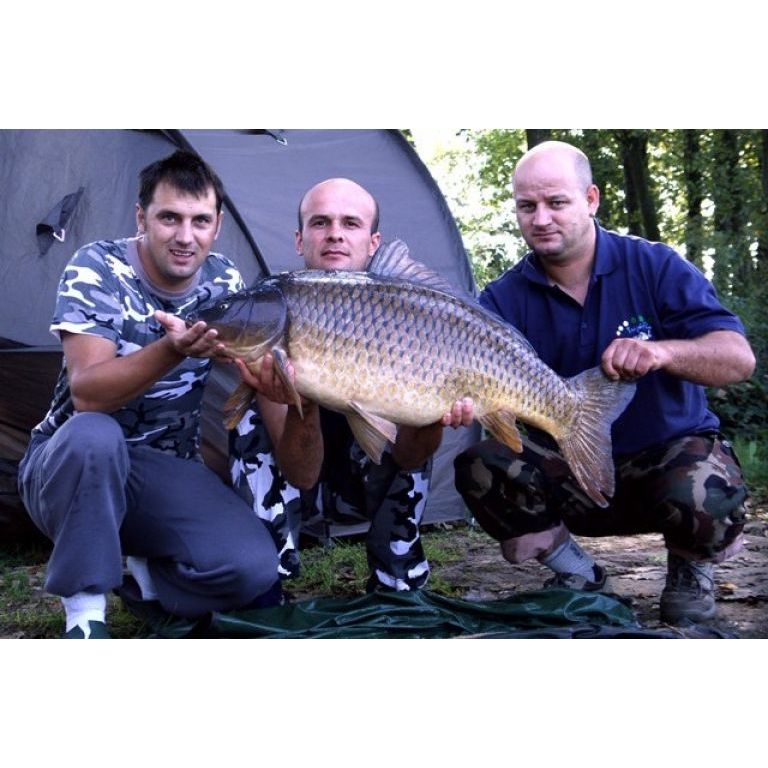 Trigó Fix Carp Team, 18.6 kg