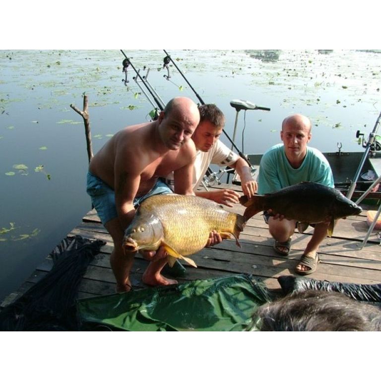 Trigó Fix Carp Team, 18.6 kg és 8 kg