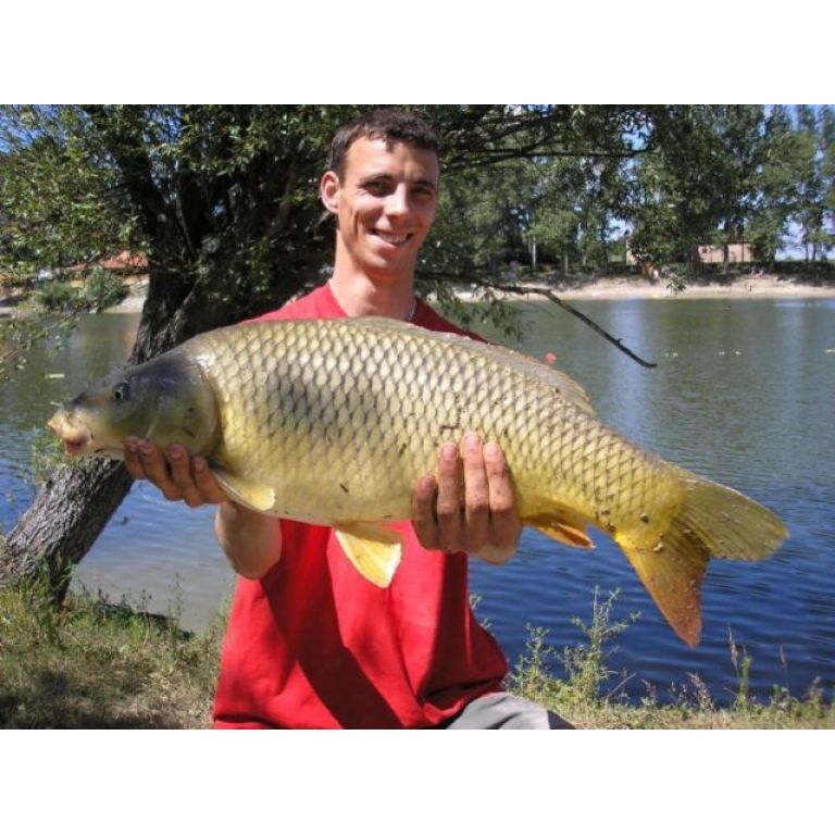 Gyönyörű tőponty, majdnem elvitte a botomat!