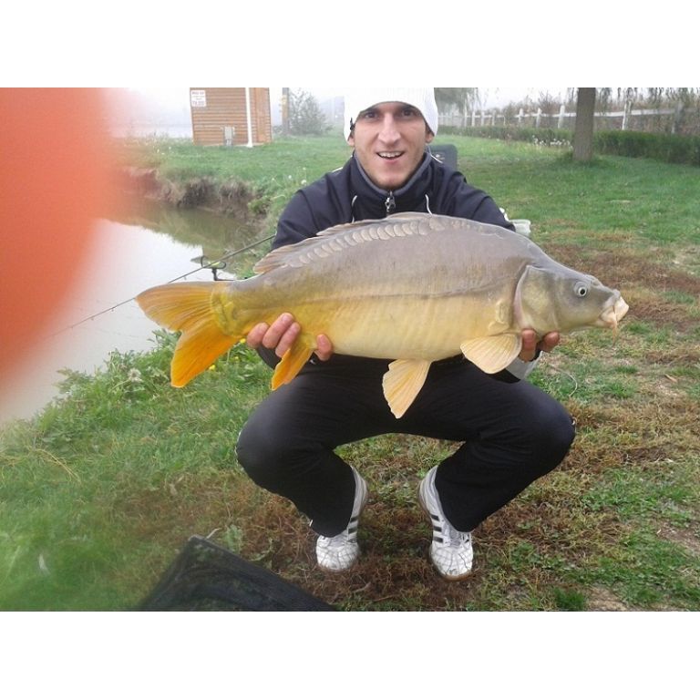 5,60 kg