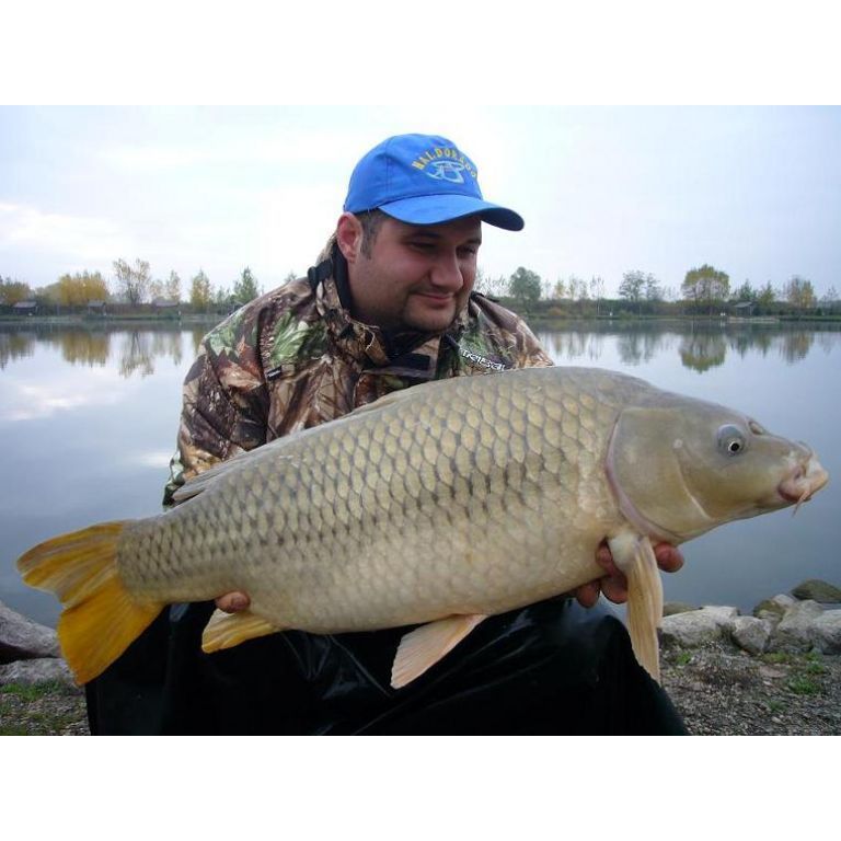 Misel Zadravec Carp Baits