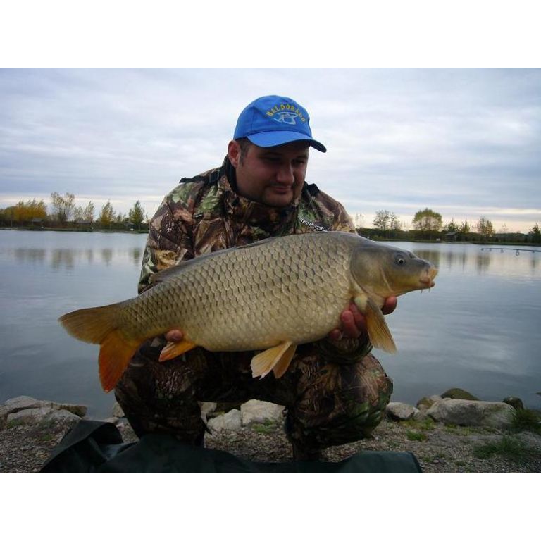 Misel Zadravec Carp Baits