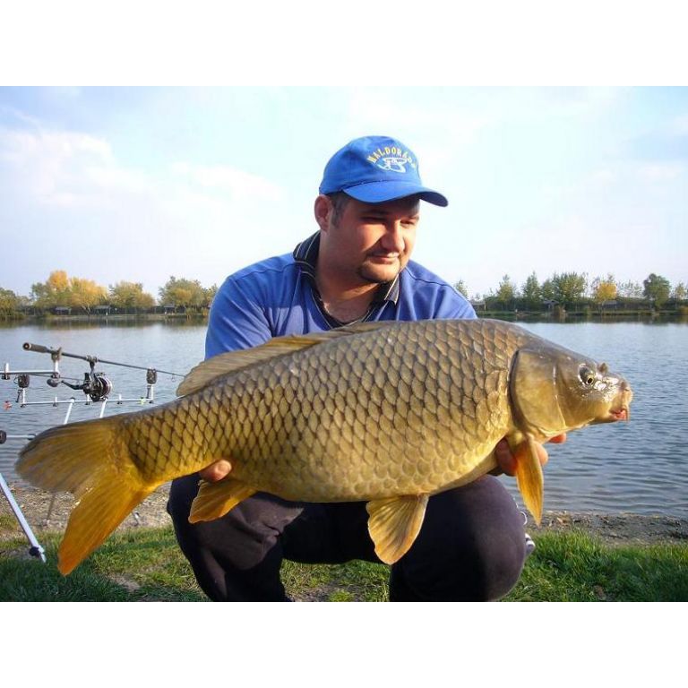 Misel Zadravec Carp Baits