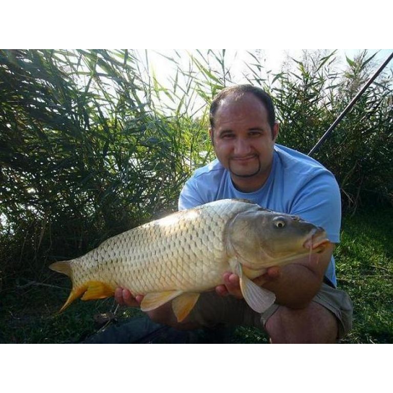 Misel Zadravec Carp Baits