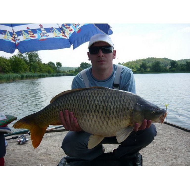 A 10,5 kg-os ponty