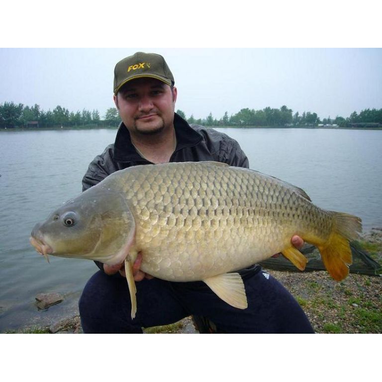 Misel Zadravec Carp Baits