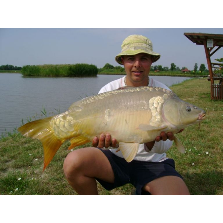 Pisti 8.20 kg