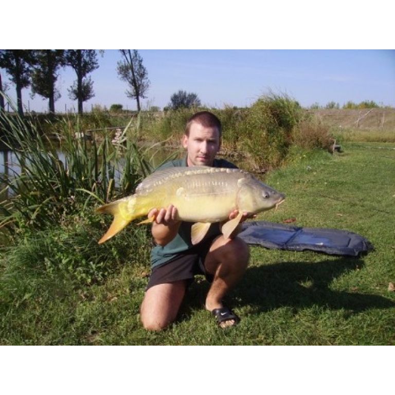 8,3 Kg