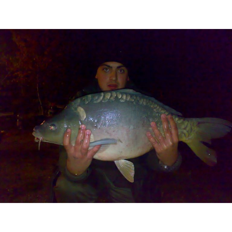 9,5 kg Ponty