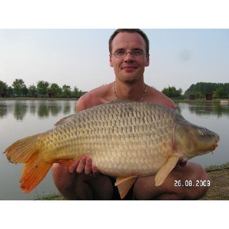 12,05 Kg