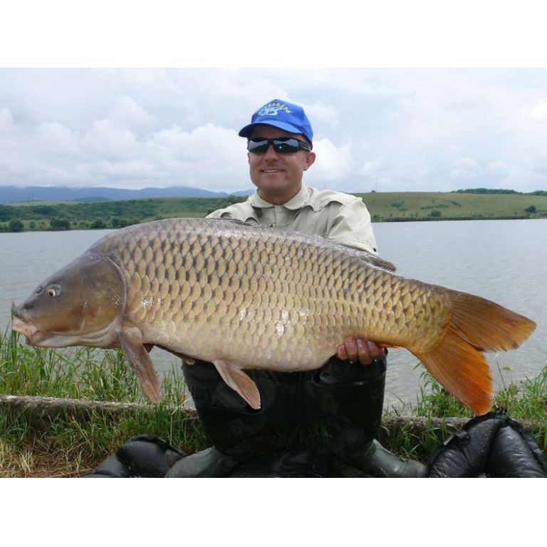 13,18 kilós hatalmas tőponty feederrel!