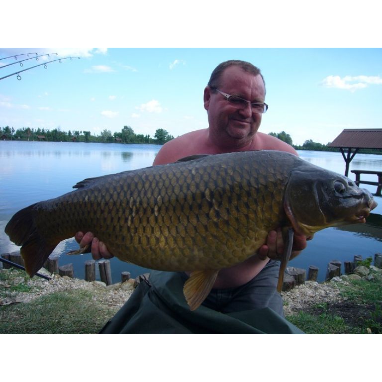 Csodaszép tőponty Bögellőről...