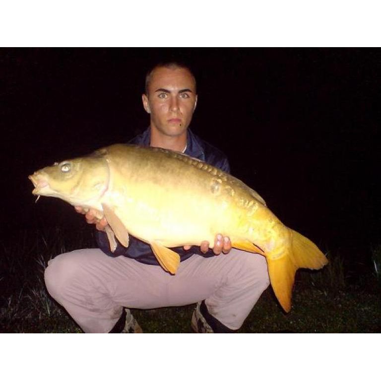 8.20 kg Tükör Ponty