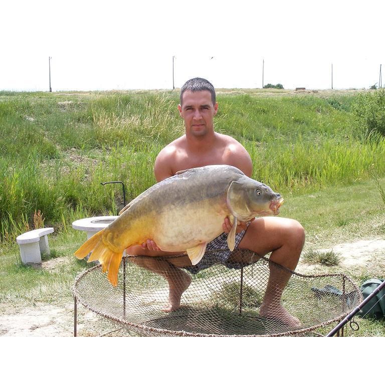 17,20 kg