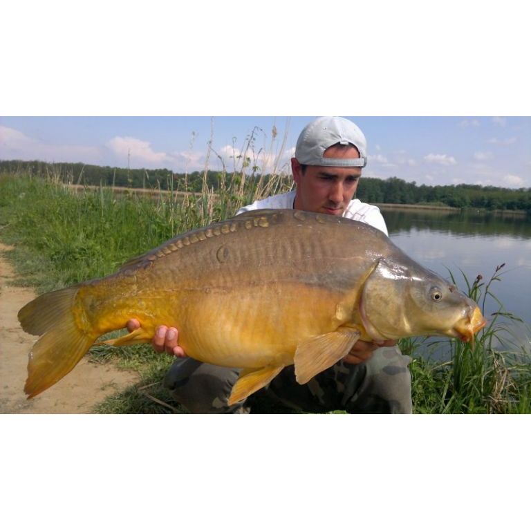 8,25 kg