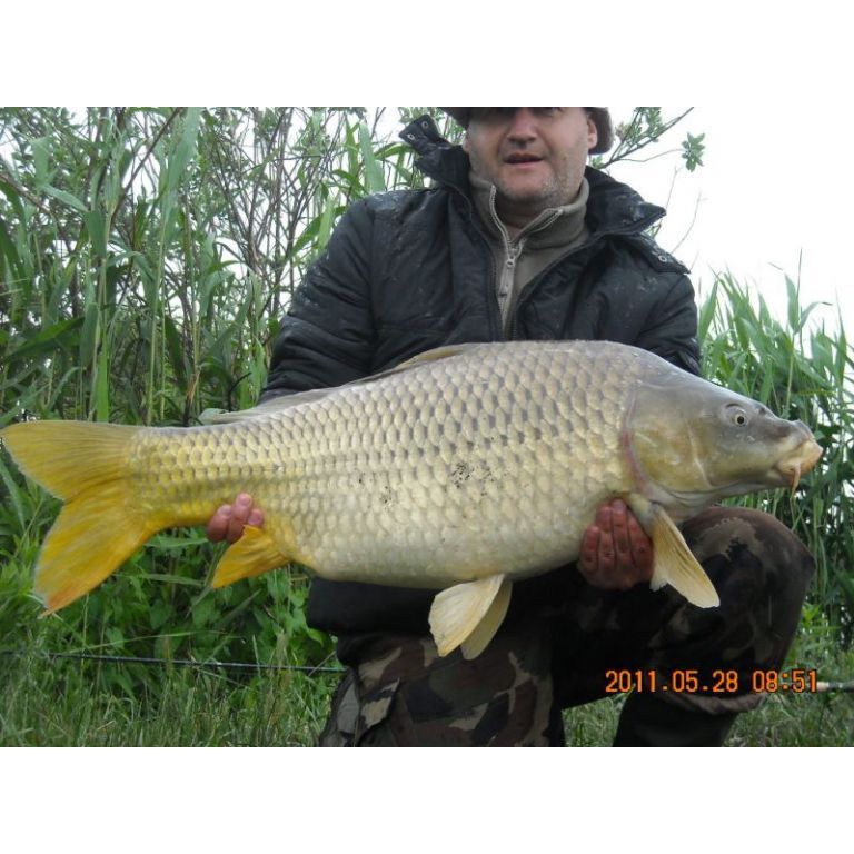 ponty 14.5 kg