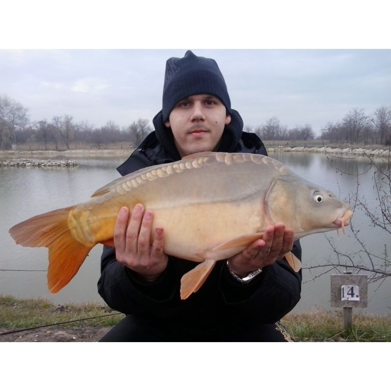 4,50 kg-os Tükrös, a nap legnagyobb hala