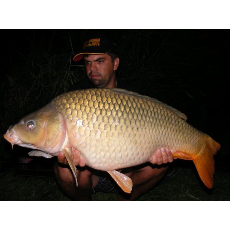 Izsáki töves (10,05kg)