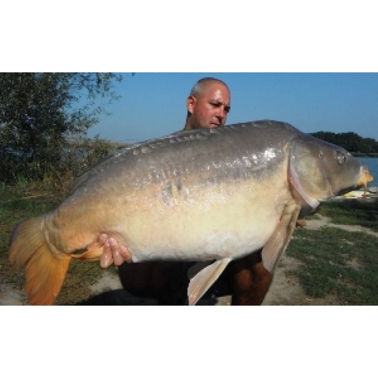 20.60Kg Mosterfishre