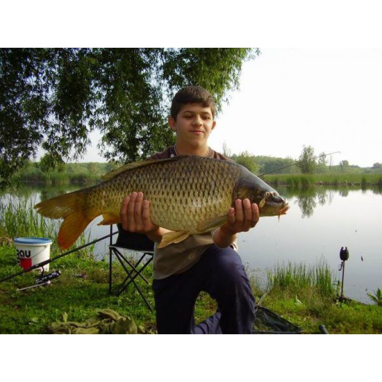 Ponty  5,16 kg