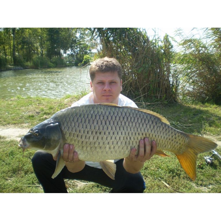 10,2 kg