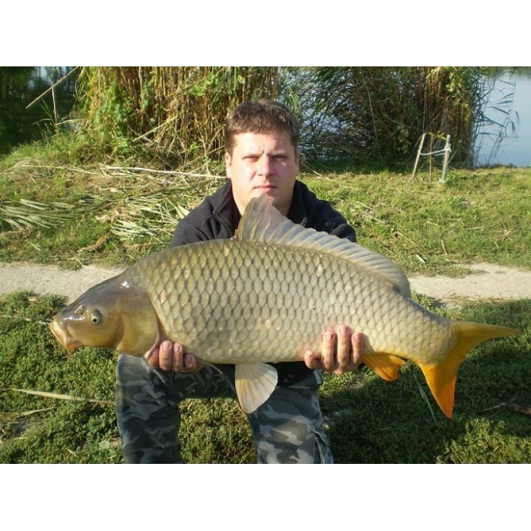 10,8 kg