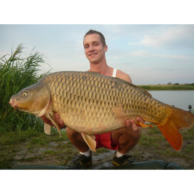 13.50 kg