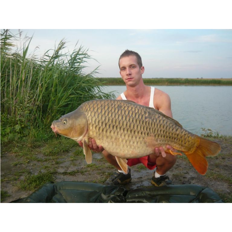 13.50 kg