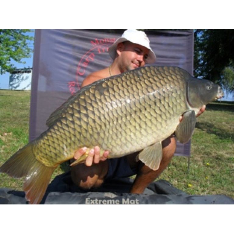 16.20 kg-os tőponty a túra egyetlen és egyben legnagyobb hala