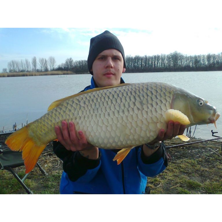 8,74 kg-os Tőponty