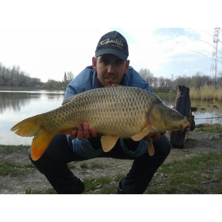 5,60 kg-os tőponty