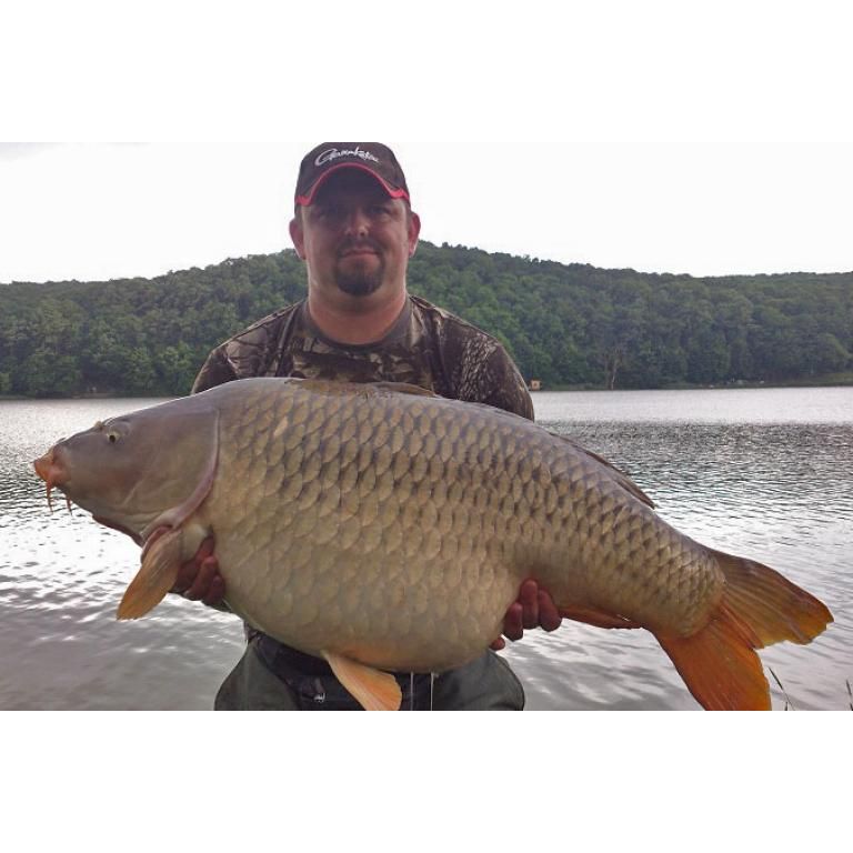 A 21 kg-os harsányi tőponyt, amely egy igazi "műremek"