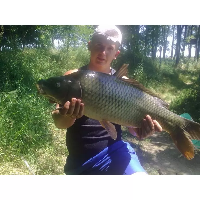 Szép hosszú :)
