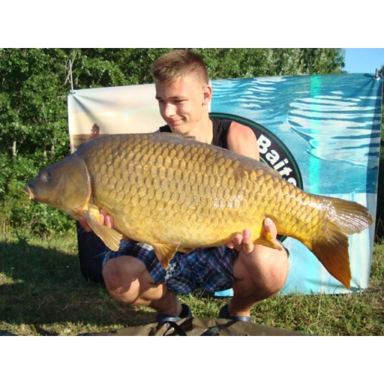 12.3 kg-os fekete hátú nyurga