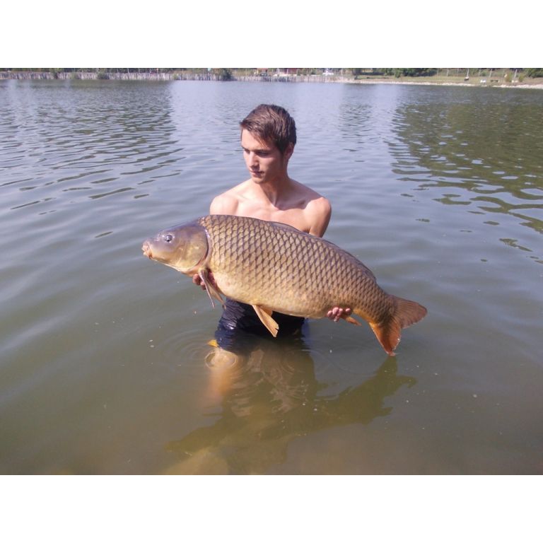 17,22 kg