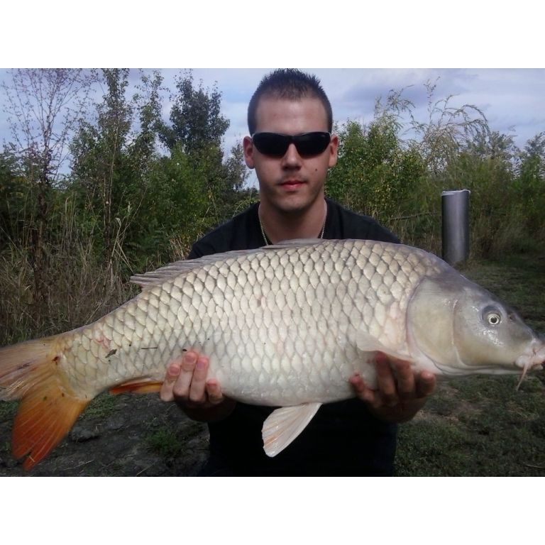 9 kg-os tőponty, a nap legnagyobb hala