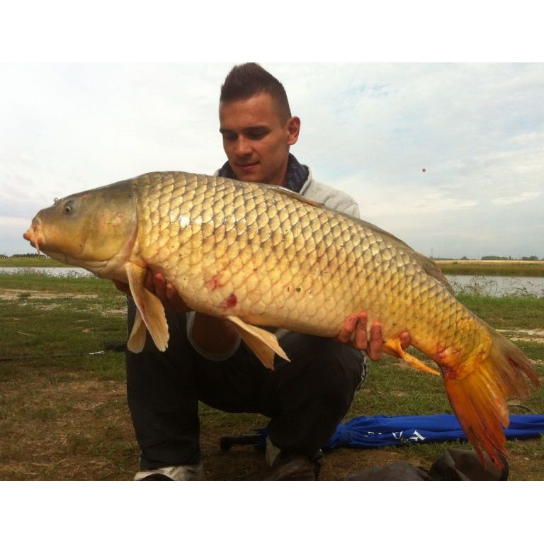 13,30 kg