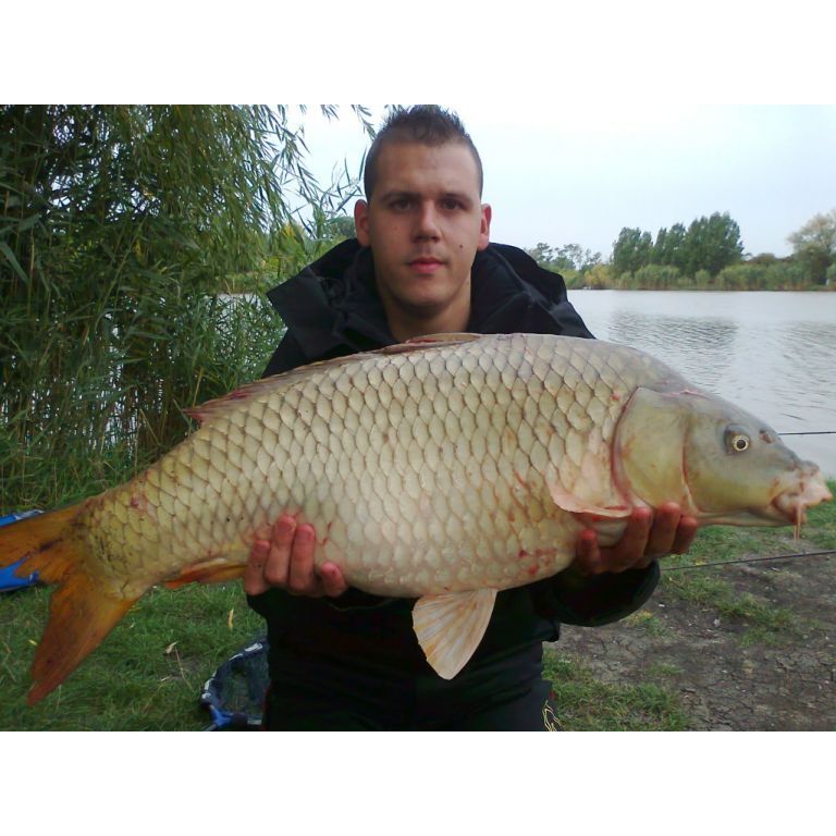 9 kg-os Tőponty