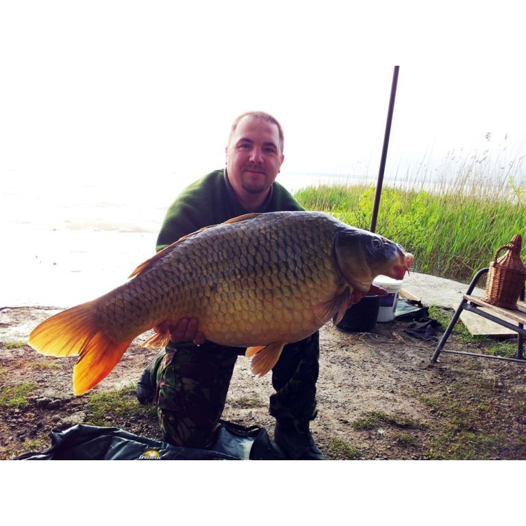 Ponty a Balatonból: 14,5 kg !!!