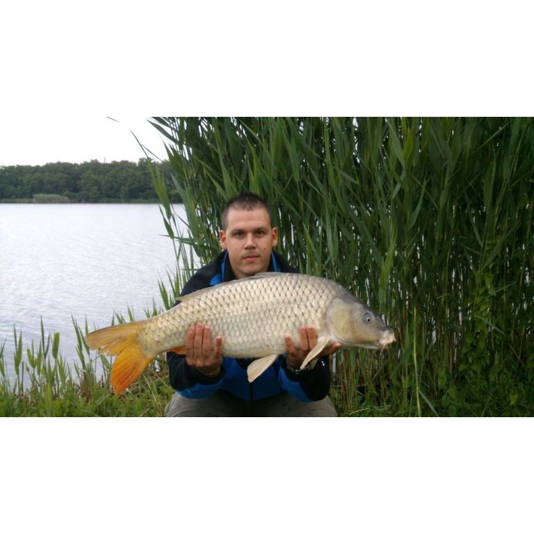 8 kg-os tőponty